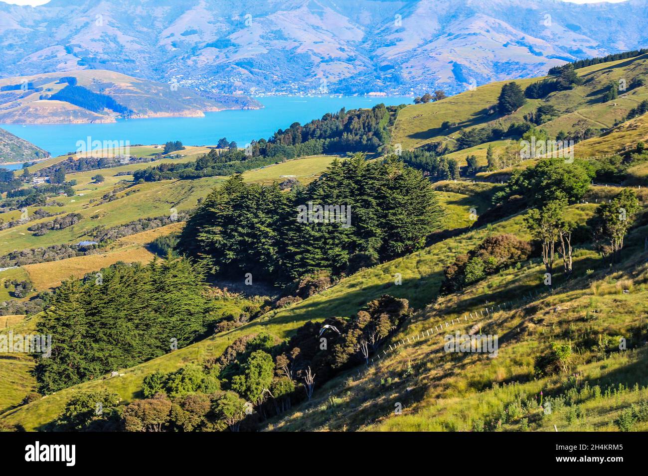 Landschaft der Banks Peninsula. Canterbury Region. Südinsel, Neuseeland. Stockfoto