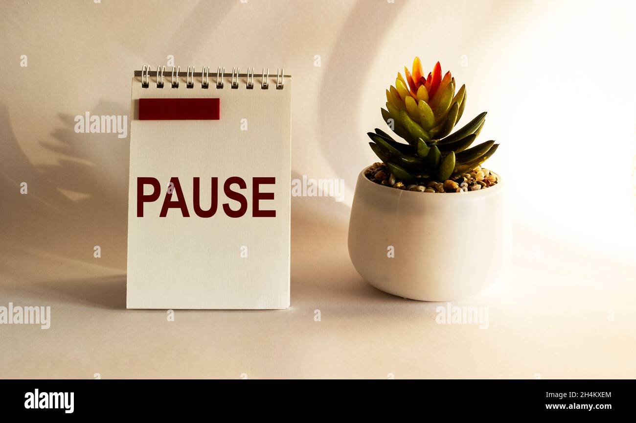 Kaktus auf weißem Hintergrund mit der Aufschrift Pause auf einem Notizbuch Stockfoto