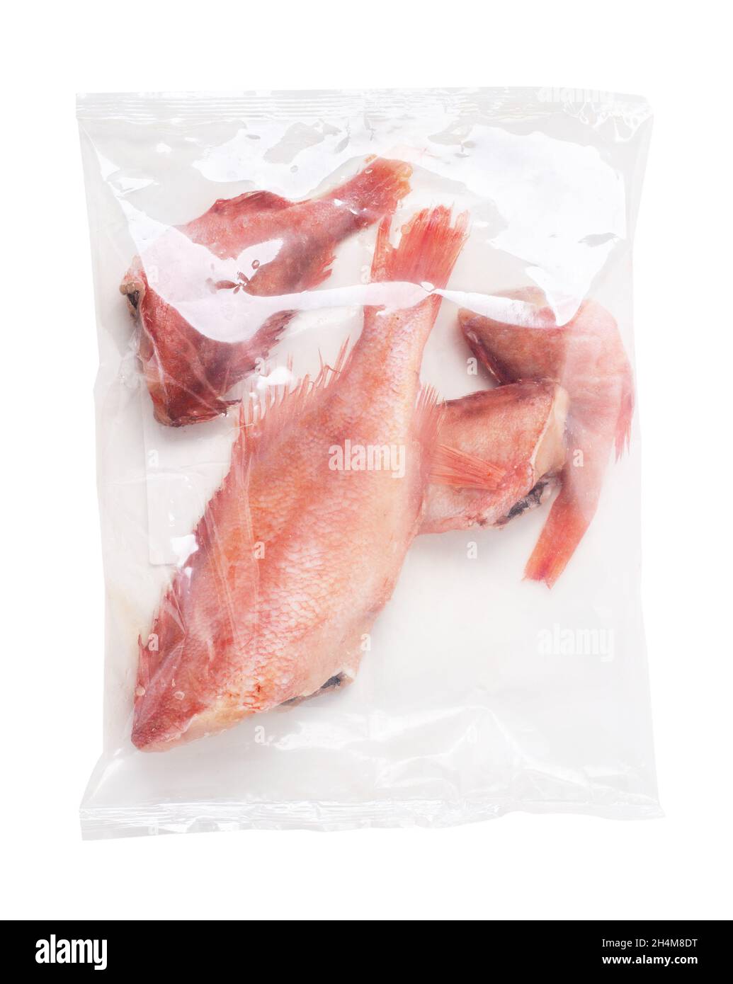 Gefrorener Fisch Seebarsch in Kunststoff-Netzbeutel isoliert auf einem weißen Hintergrund Clipping Pfad Stockfoto