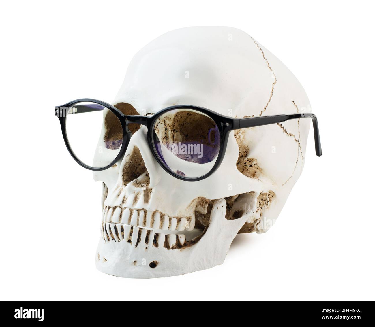 Menschlicher Schädel mit Brille isoliert auf weißem Hintergrund Stockfoto