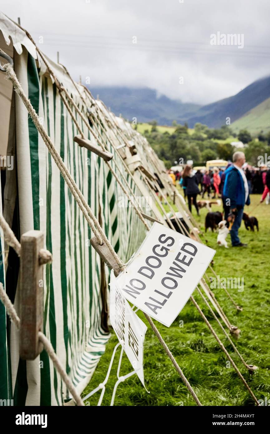 Ein Schild mit der Aufschrift „Keine Hunde erlaubt“ am Eingang zu einem großen Zelt bei einer Country Show. Stockfoto