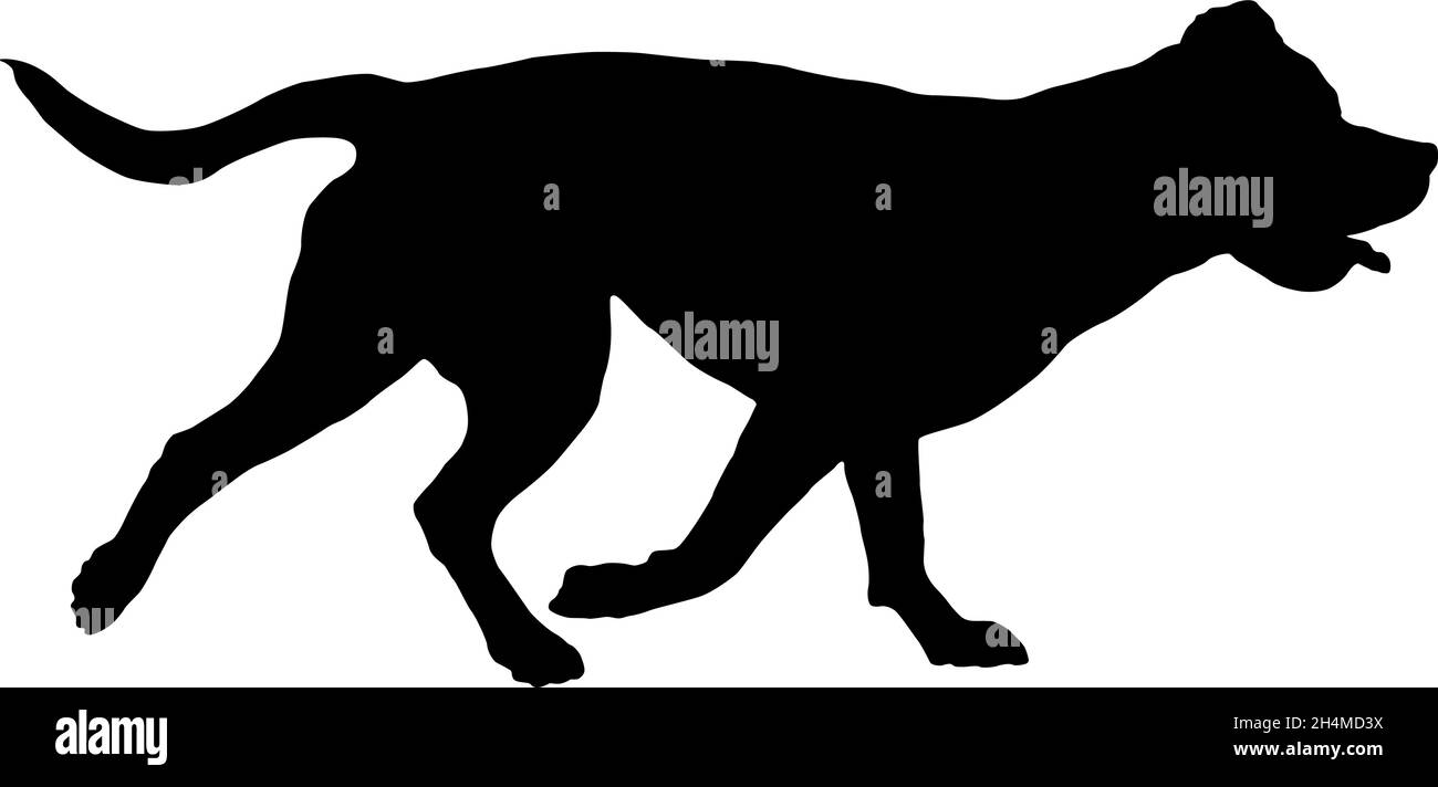 Schwarze Hundehüsse. Laufen italienischen Mastiff. Haustiere. Isoliert auf weißem Hintergrund. Vektorgrafik. Stock Vektor