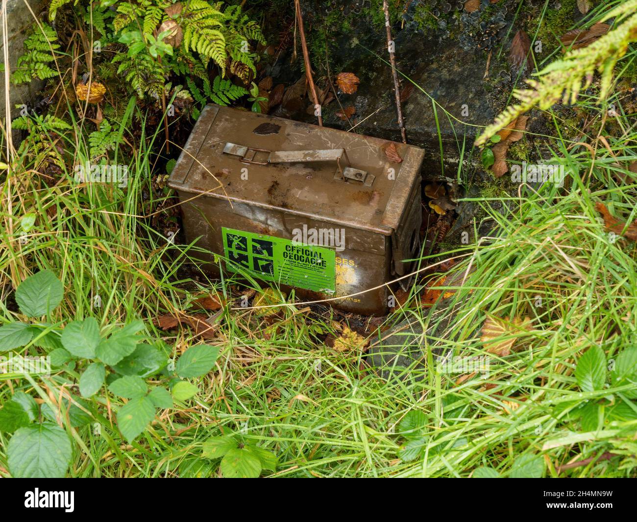 Offizielle Geocache-Box, versteckt in Unterholz und Gras in Leitir Fura, Isle of Skye Stockfoto