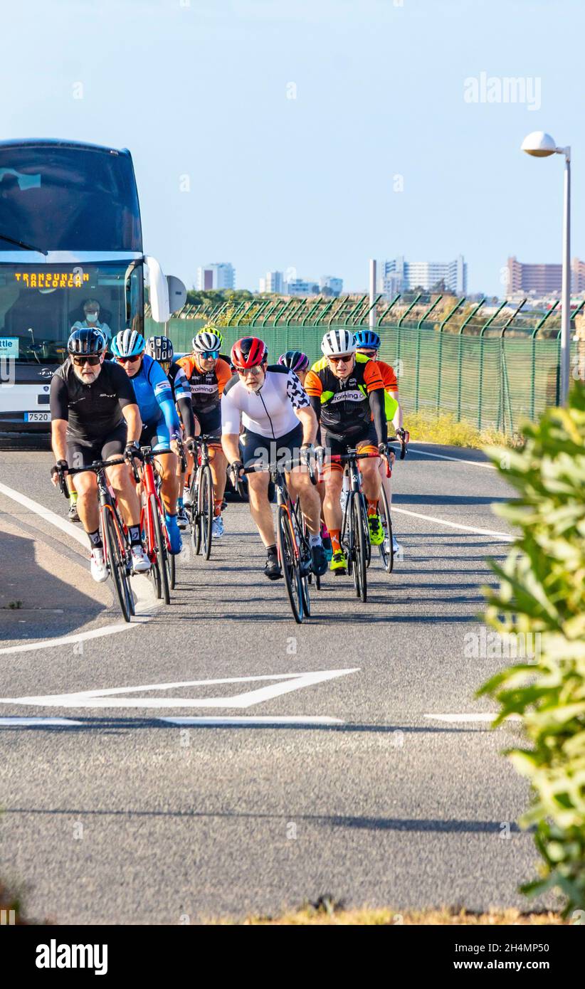 Begeisterte Amateur-Radfahrer auf Rennrädern fahren in der Gruppe auf der Straße vor dem Touristenbus Palma Mallorca Stockfoto