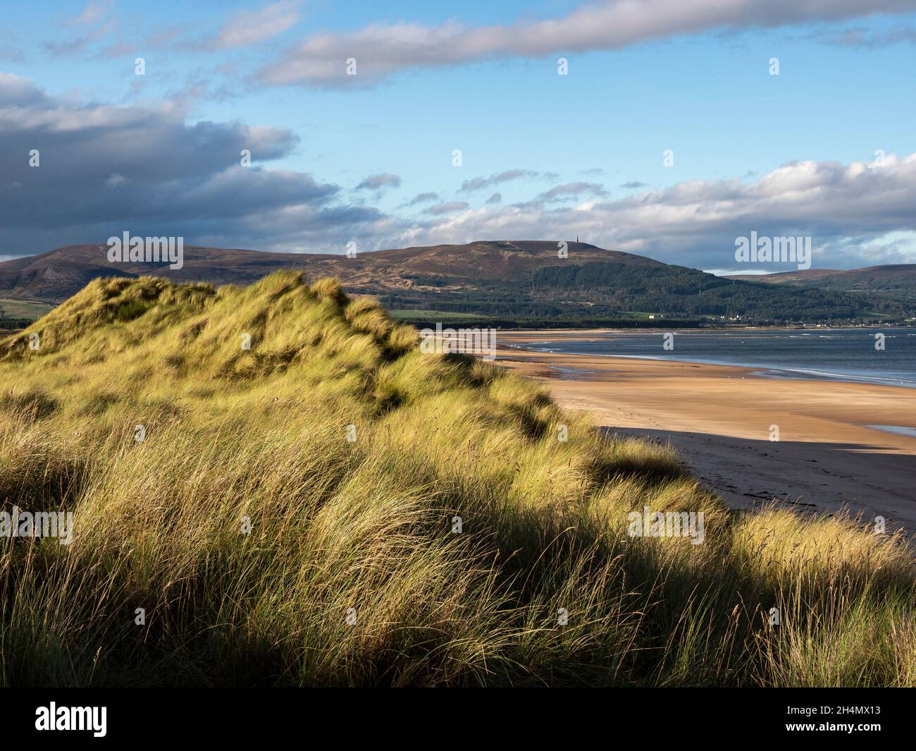 Die Dünen am EMBO-Strand mit Ben Bhraggie Beyond. Sutherland, Schottland Stockfoto