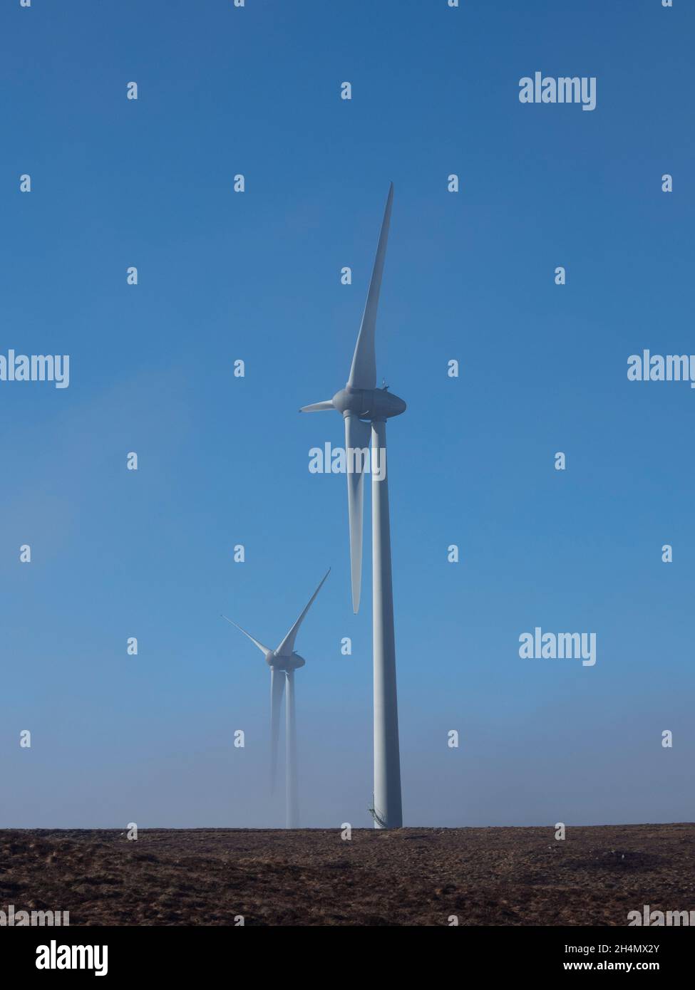 Windturbinen, die aus dem Nebel hervorgehen. Corrimony Wind Farm, Highland, Schottland Stockfoto