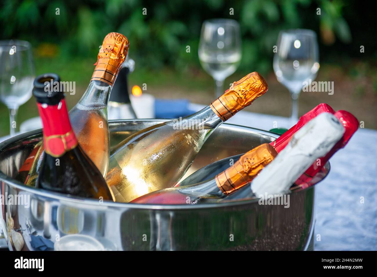Viele Flaschen Champagner oder Prosecco, gekühlt auf Eis, am Pool des Resorts in einem Luxushotel. Poolparty. Stockfoto