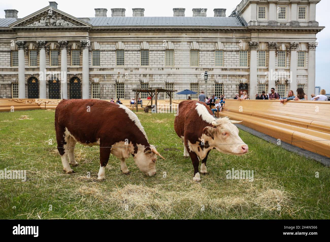 London, Großbritannien. 23. Juni 2019. Captain Boomer Collective beim Greenwich and Docklands International Festival in Greenwich. GDIF. Quelle: Waldemar Sikora Stockfoto