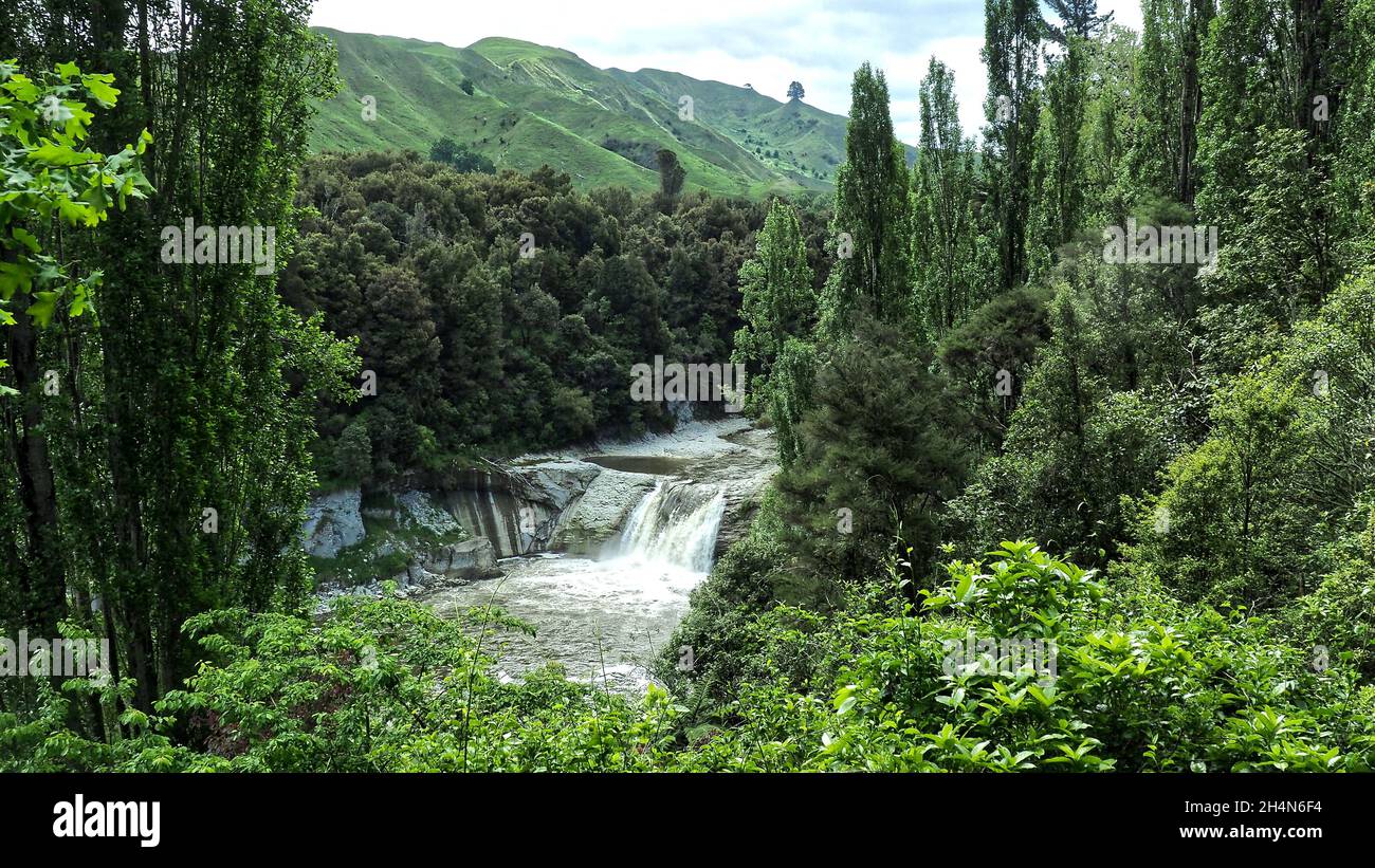 Ein üppiger Sommerblick auf die Raukawa Falls am Mangawdero River im ländlichen Neuseeland Stockfoto