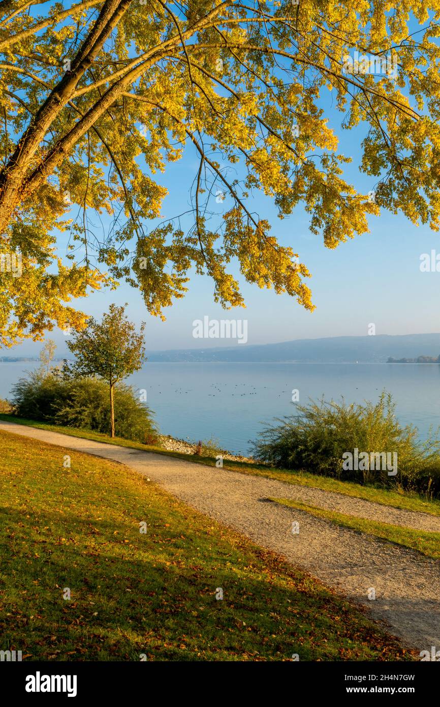 Herbsturlaub am schönen Bodensee Stockfoto