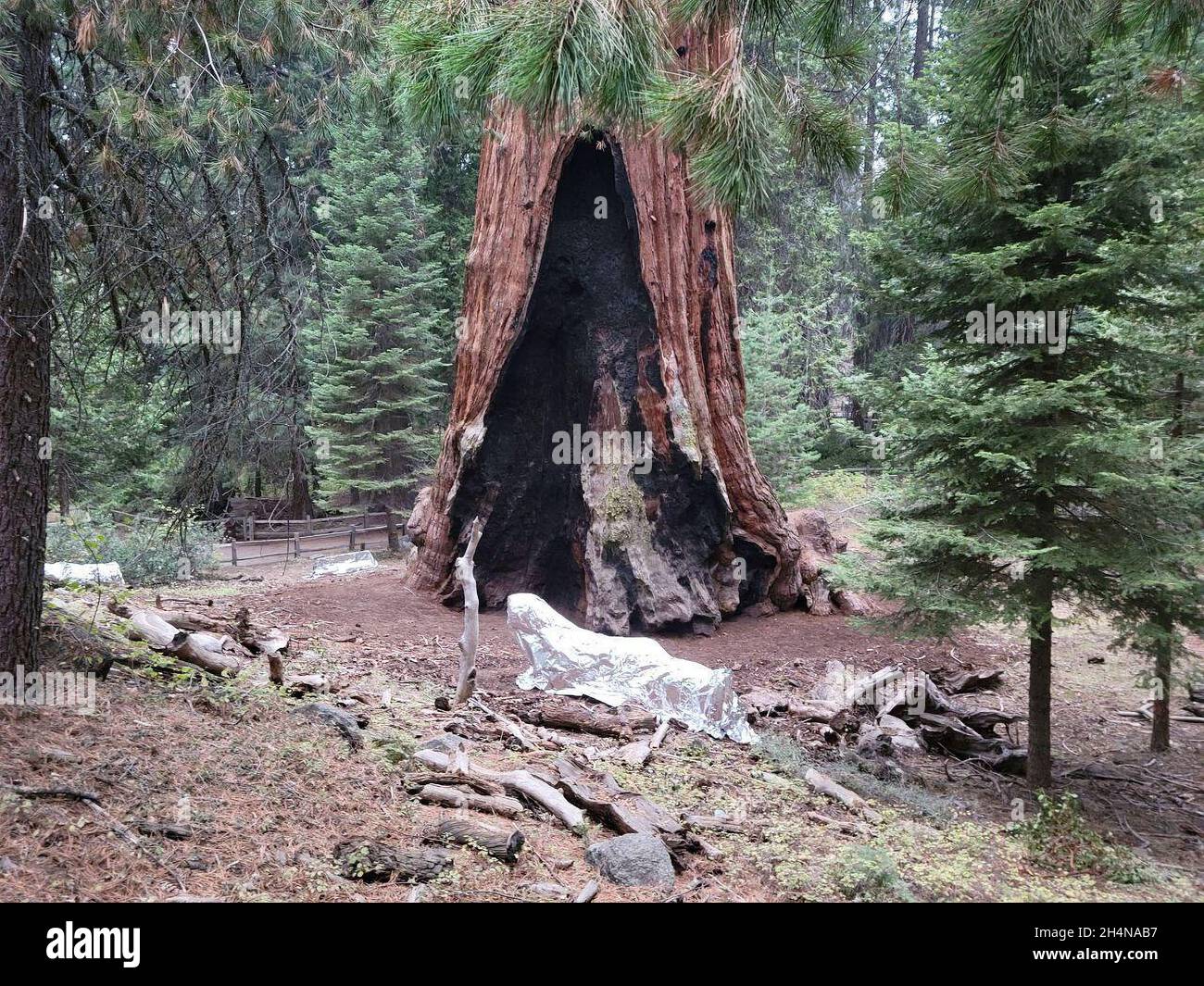 Three States, California, Usa. Oktober 2021. General Grant Back KNP Complex Wildfire in den Nationalparks Sequoia & Kings Canyon, Three River, Kalifornien. Ein Feuer, das am 9. September 2021 mit einem Blitzschlag begann, brannte über 88 Hektar in den Nationalparks Sequoia und Kings Canyon, einschließlich eines Teils eines historischen Hains mit riesigen Mammutbäumen. Stockfoto