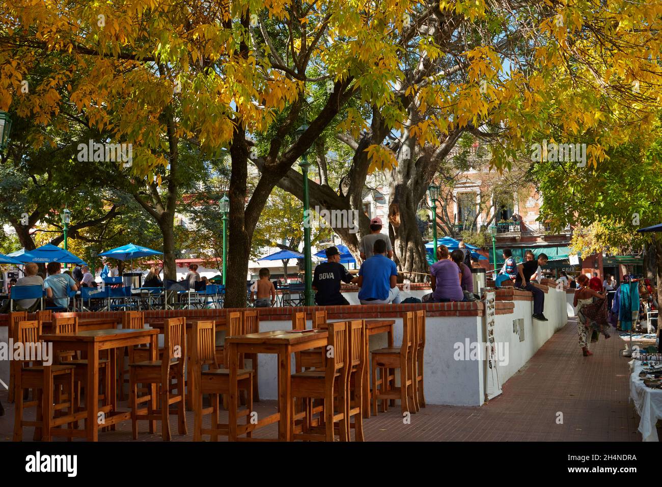 Herbstfarbe in Plaza Dorrego, San Telmo, Buenos Aires, Argentinien, Südamerika Stockfoto