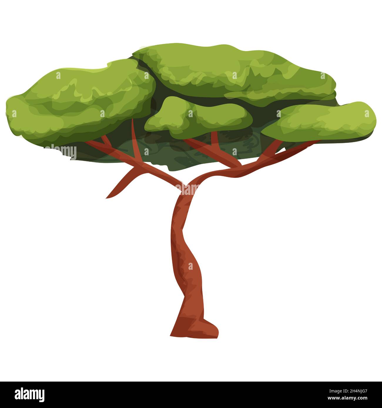 Akazie afrikanischen Baum, Savannah Pflanze im Cartoon-Stil isoliert auf weißem Hintergrund. Grünes Laub, dünnes Trank mit Ästen. . Vektorgrafik Stock Vektor