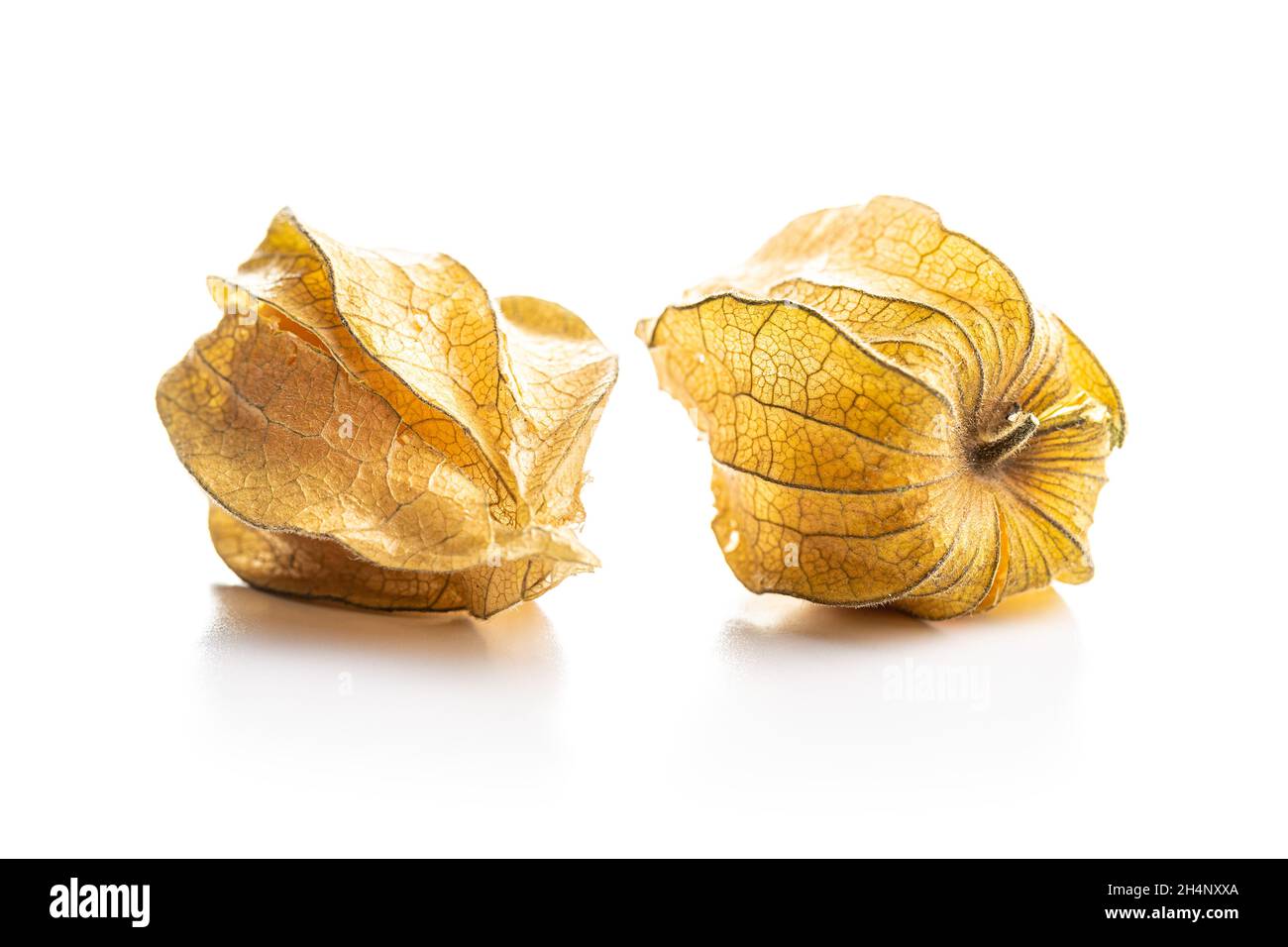 Physalis peruviana. Kap Gooseberry oder gemahlene Kirschen Früchte isoliert auf weißem Hintergrund. Stockfoto