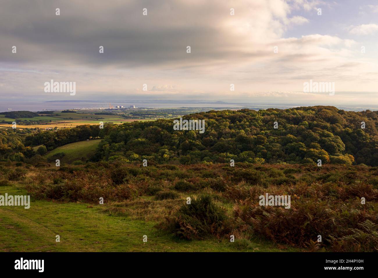 Oktober Wanderung über die karge Landschaft der Quantock Hills, Somerset im Südwesten Englands Stockfoto
