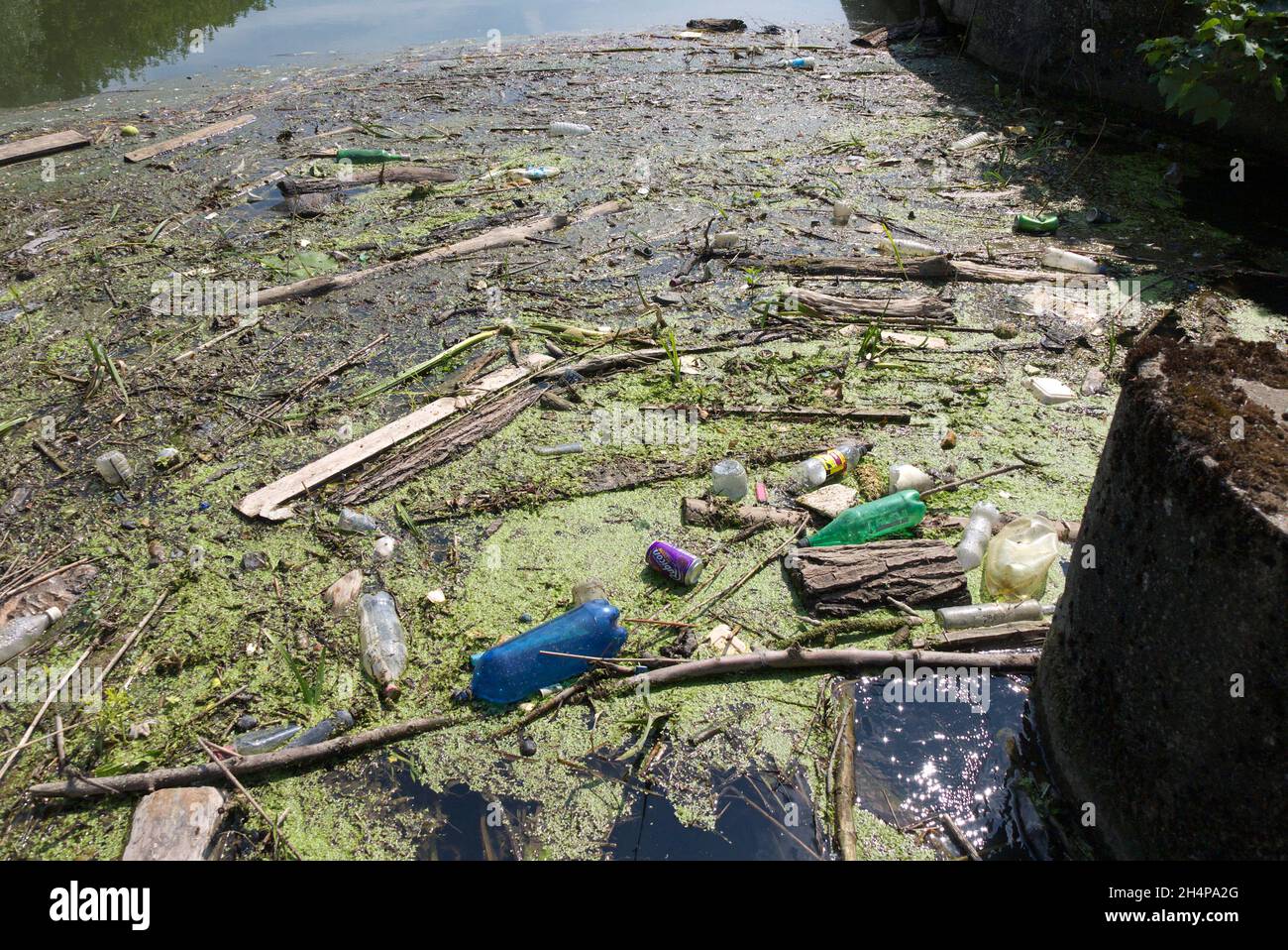 Entsetzlicher, auf der Themse schwimmender Müll. Glücklicherweise ist das heutzutage kein üblicher Anblick. Bei der Abschwächung entwickelte sich dieses Seher in einer stagnierenden, geschützten st Stockfoto