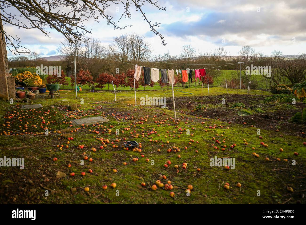 An der Wäscheleine eines Bauernhauses in Armoy (in der Nähe der Dunklen Hecken), Co. Antrim, Nordirland, werden Kleidung zum Trocknen in der Wintersonne aufgehängt. Stockfoto