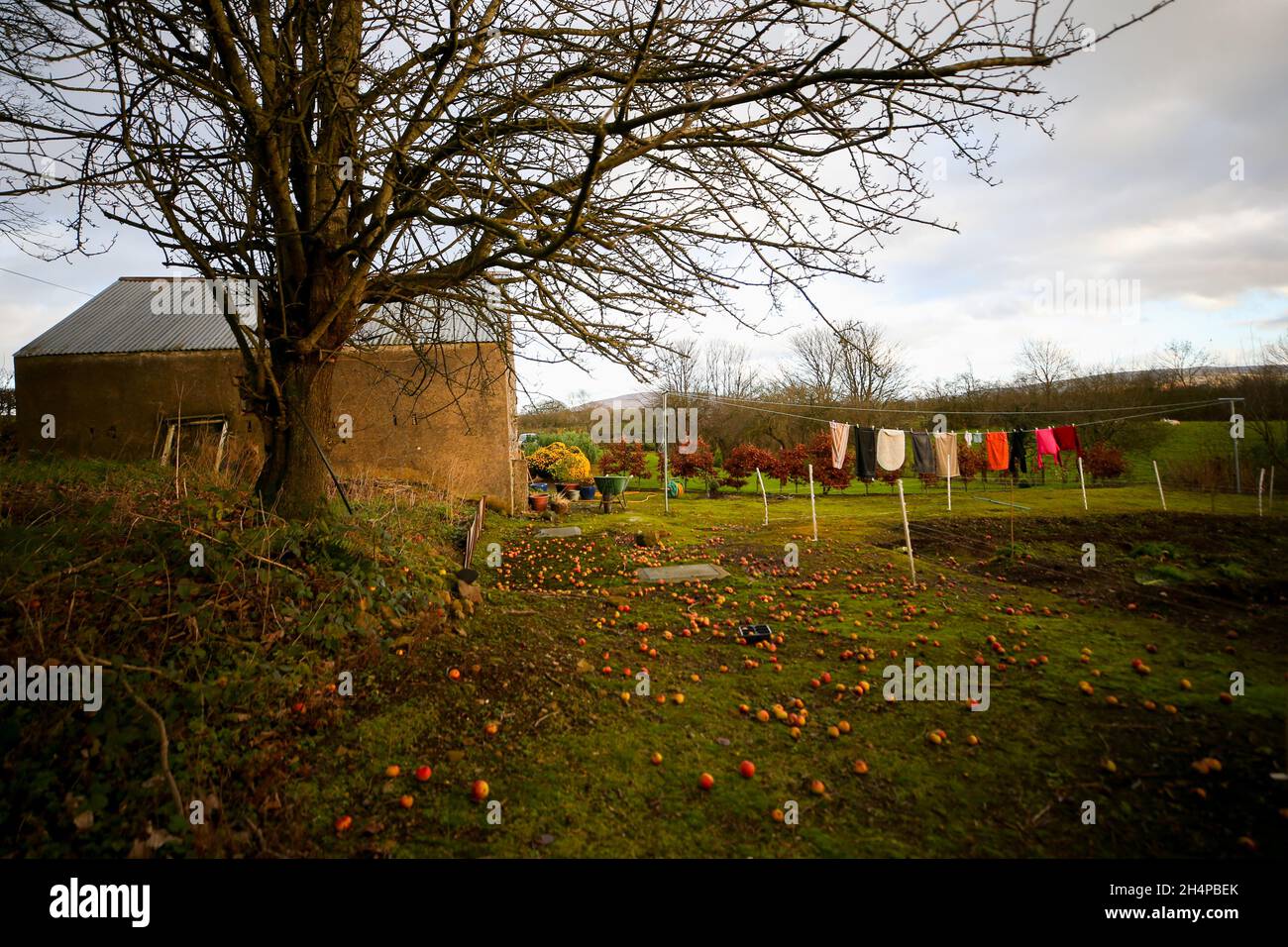 An der Wäscheleine eines Bauernhauses in Armoy (in der Nähe der Dunklen Hecken), Co. Antrim, Nordirland, werden Kleidung zum Trocknen in der Wintersonne aufgehängt. Stockfoto