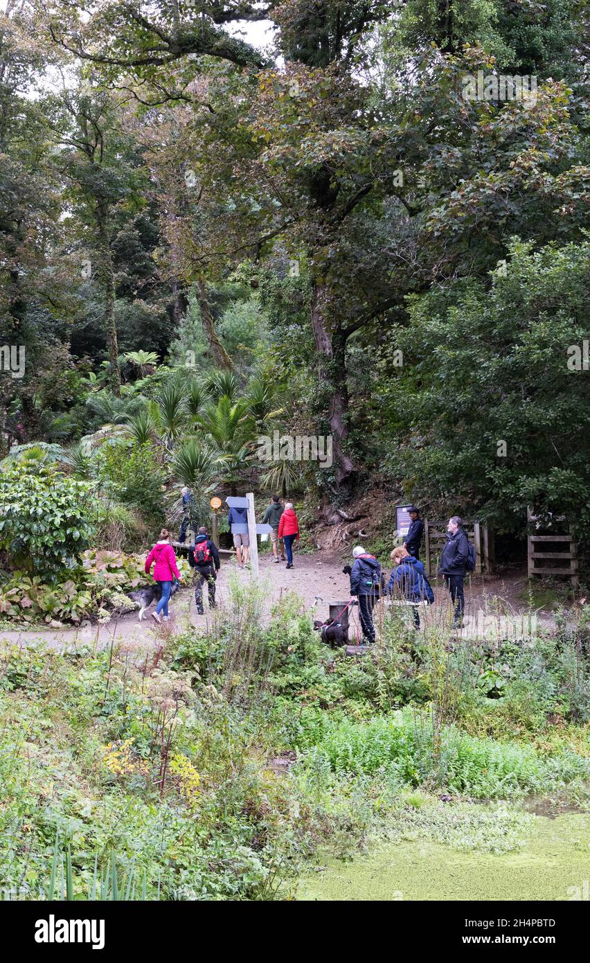 Tourismus in Cornwall; Menschen in den Lost Gardens von Heligan, Cornwall, Großbritannien; Besucher im „Dschungel“-Bereich der Gärten im Sommer, Cornwall, England Stockfoto