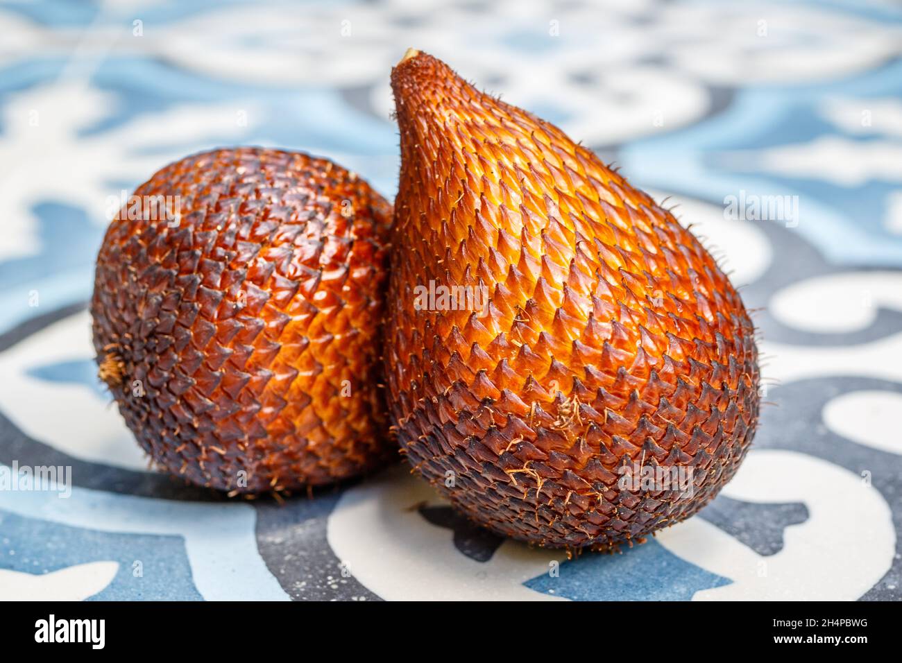 Zwei Salak Bali oder Snake Fruits auf blauem Fliesenhintergrund. Bali, Indonesien Stockfoto