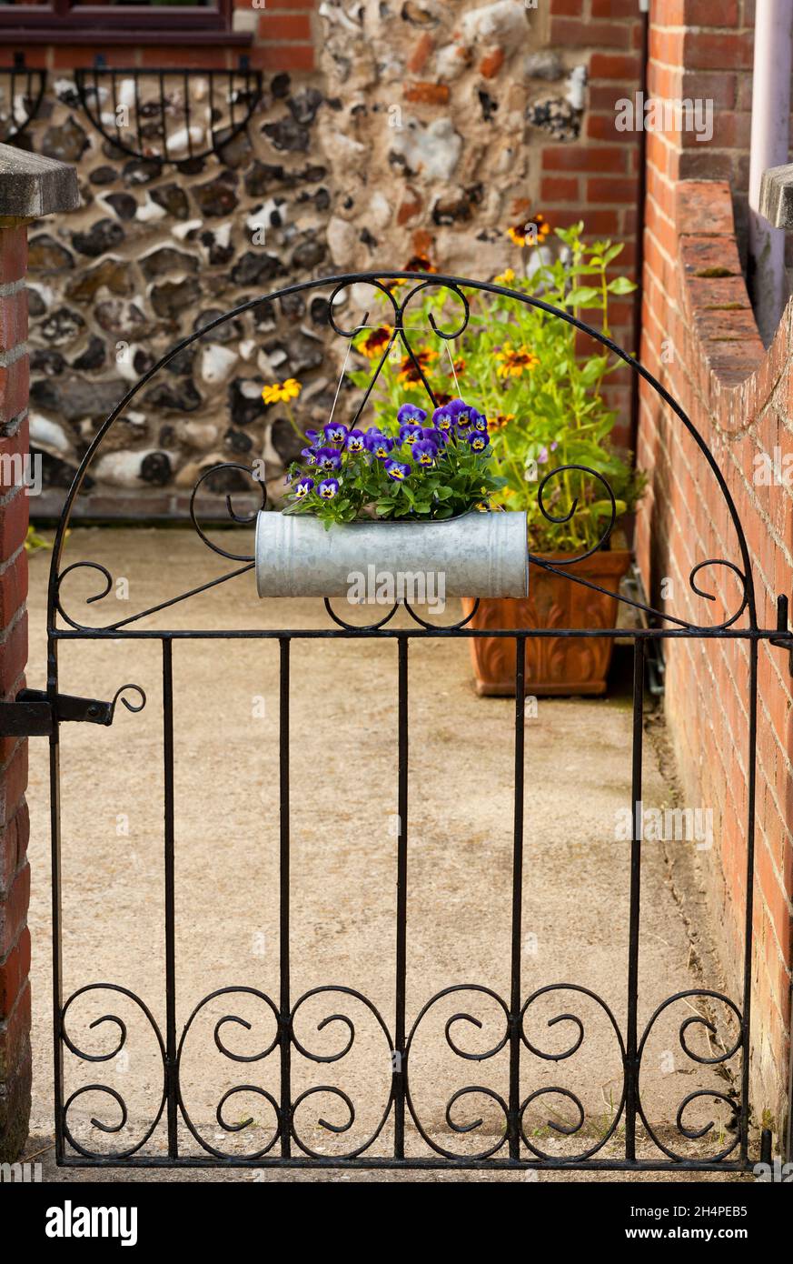 Ein Hoftor mit Viola-Blumen Stockfoto