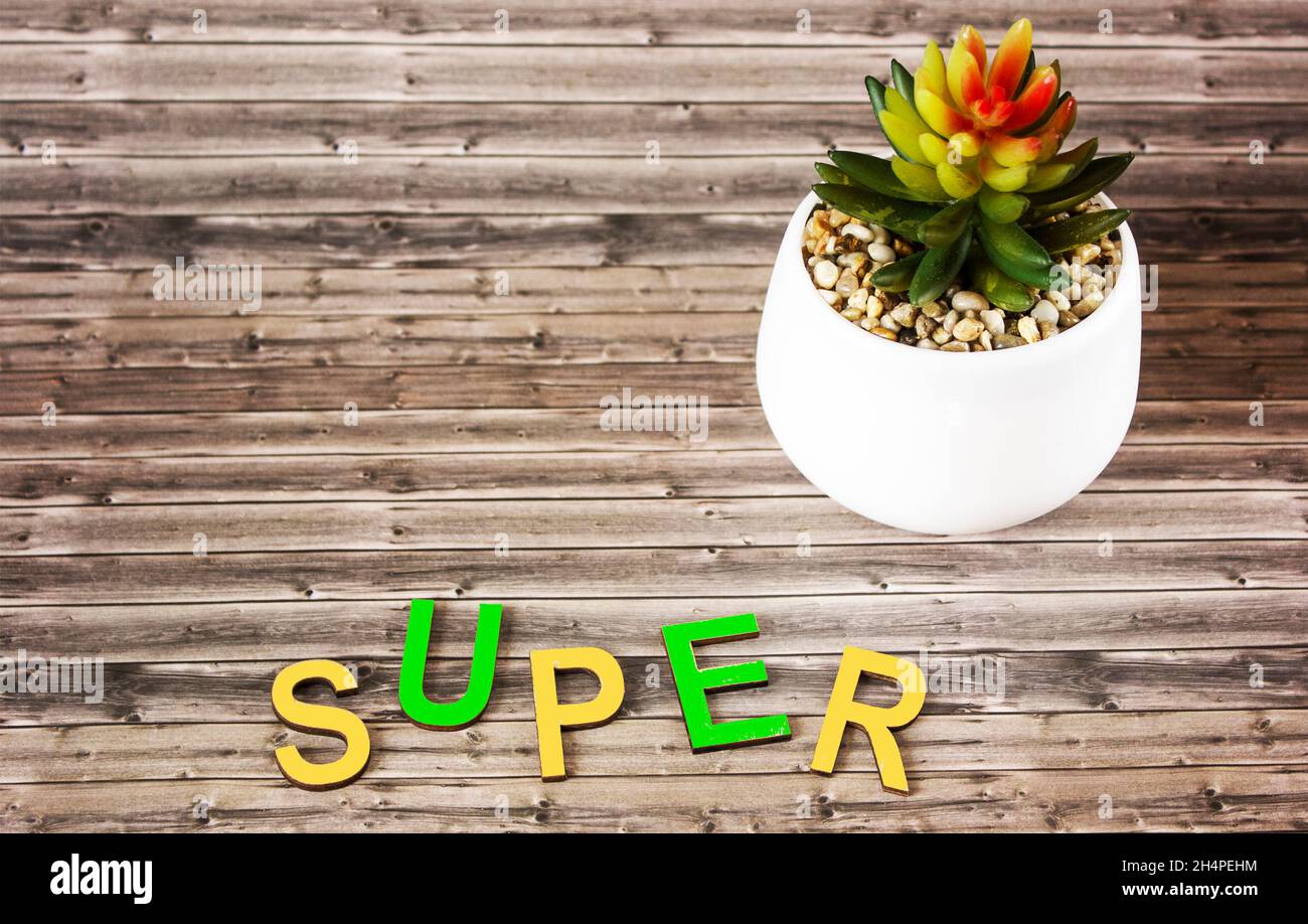 Das Wort SUPER besteht aus bunten Buchstaben, die auf einem Holztisch mit einer Kaktusblume liegen. Stockfoto