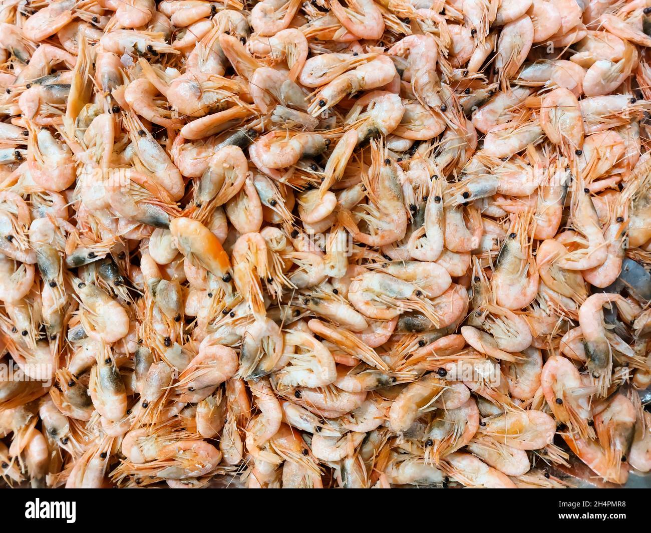 Nahaufnahme von rohen Garnelen. Konzept für die Zubereitung von Meeresfrüchten. Gesunde Ernährung. Rezeptur Stockfoto