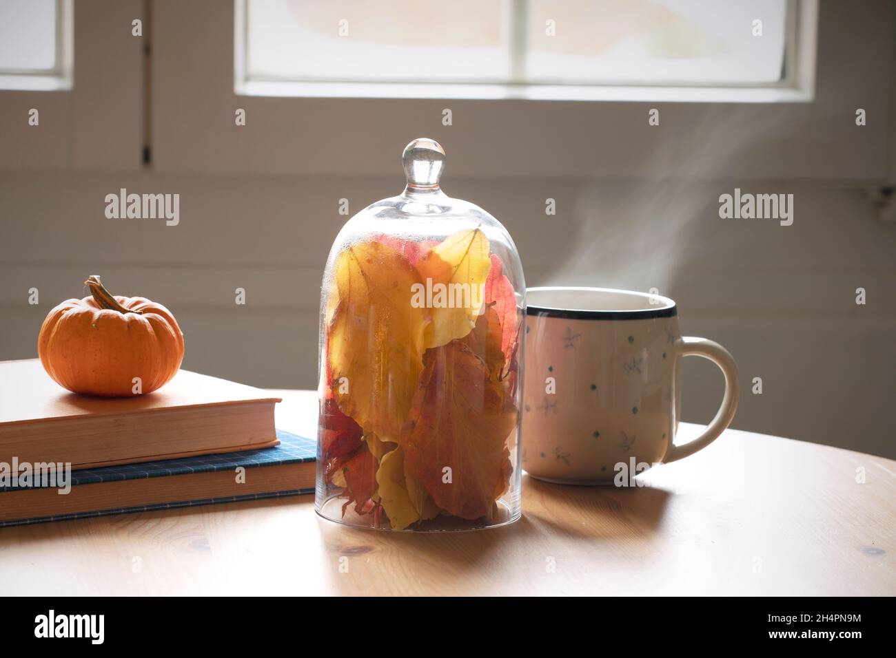 Tisch mit Büchern, Tasse Kaffee oder Tee mit Herbstdeko-Arrangement, bunten Blättern und Mini-Kürbis. Bücher zu Hause lesen, gemütliche, faule Atmosphäre. Stockfoto