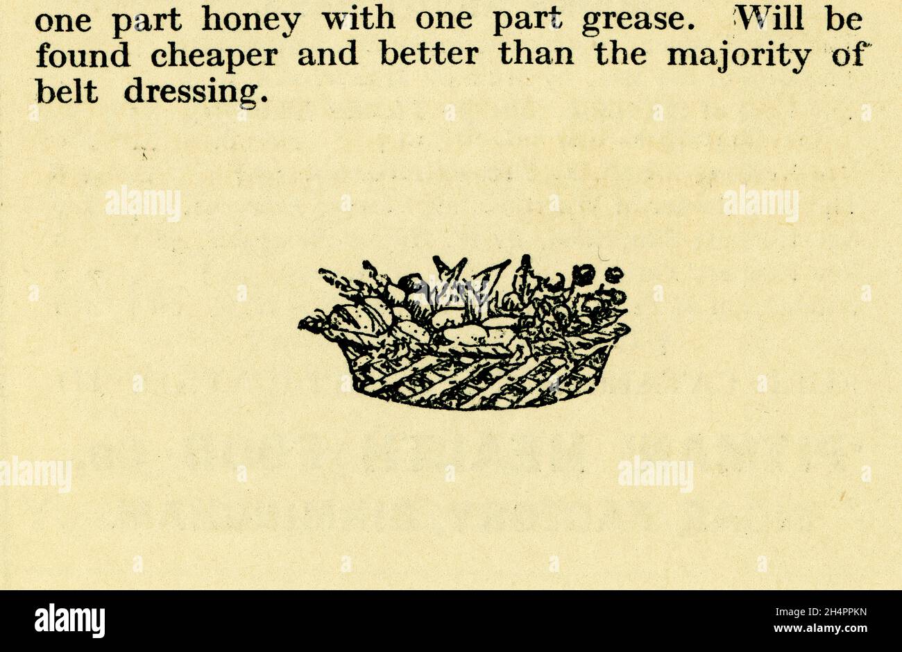 Original sepiafarbene Buchteller Fußnote in einer gesunden Ernährung Broschürengravur - Korb mit Gemüse plus Text - Gesundheit aus der Lebensmittelbibliothek Nr. 12, - aus der Serie Honey and the Bee, von James Henry Cook, veröffentlicht 1927, Birmingham, England, Großbritannien Stockfoto