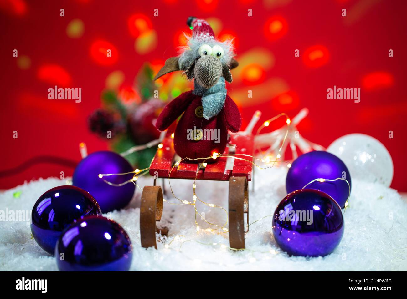 Lustige elche Fotos und Bildmaterial in hoher Auflösung Alamy