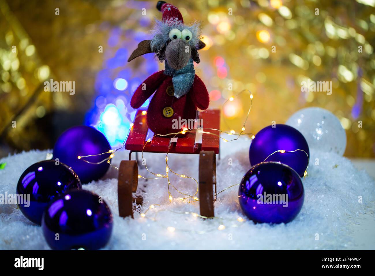 Lustige elche weihnachten Fotos und Bildmaterial in hoher Auflösung