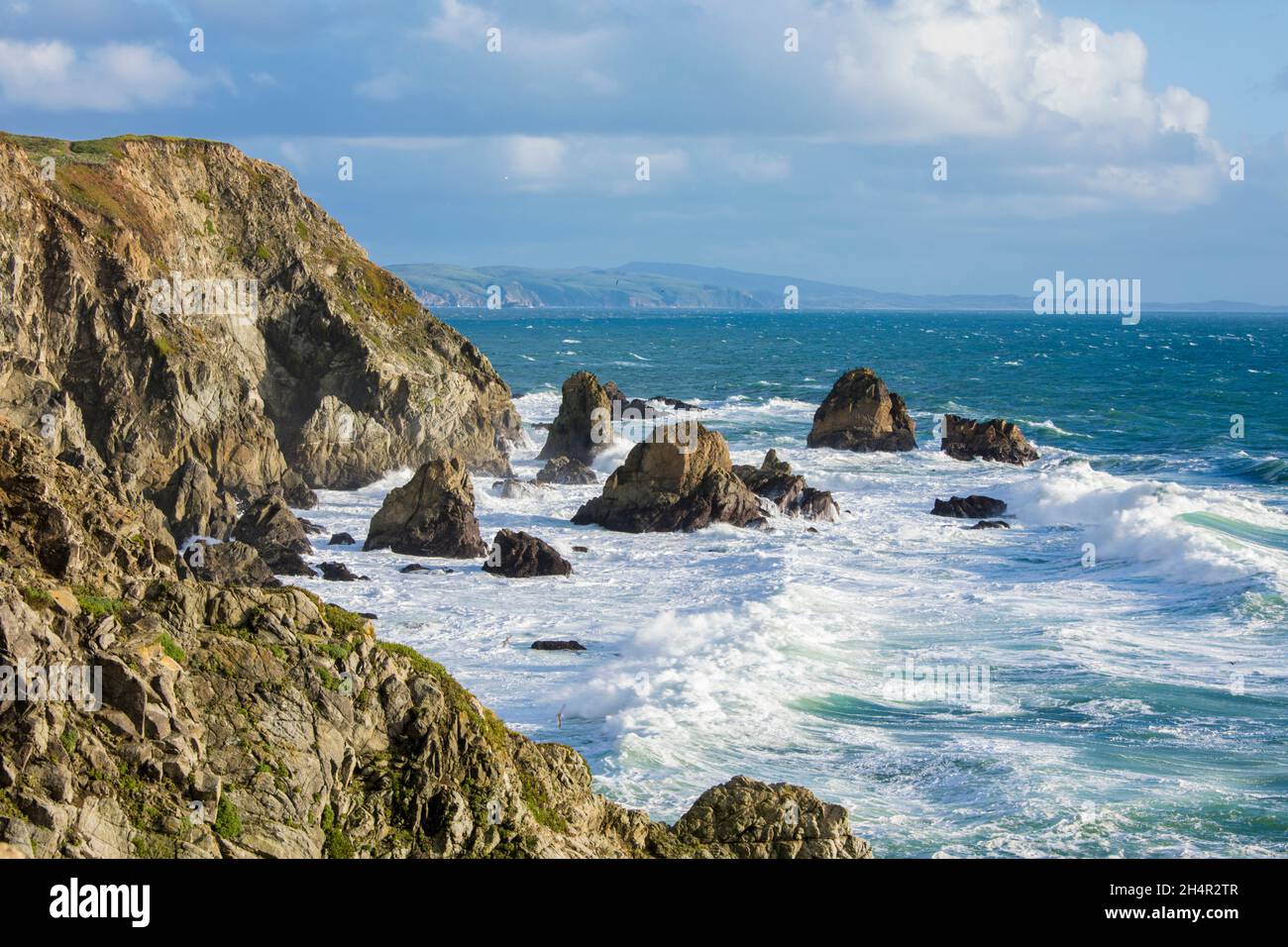 Wellen stürzen entlang der Bodega Bay im Norden Kaliforniens. Die Bodega Bay ist eine malerische Gegend entlang des California Highway 1. Stockfoto