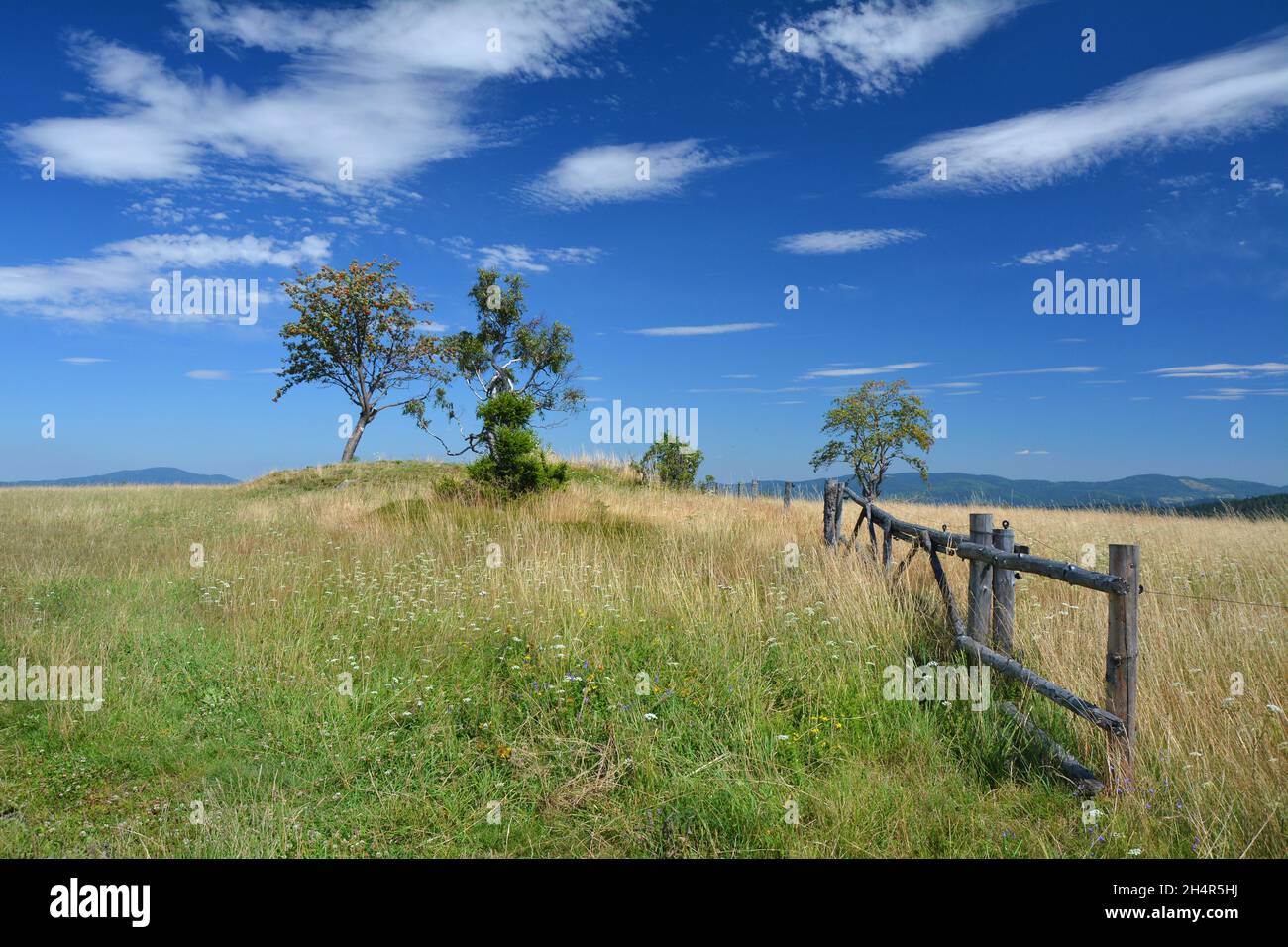 Ländliche Landschaft in den Bergen in Polen. Stockfoto