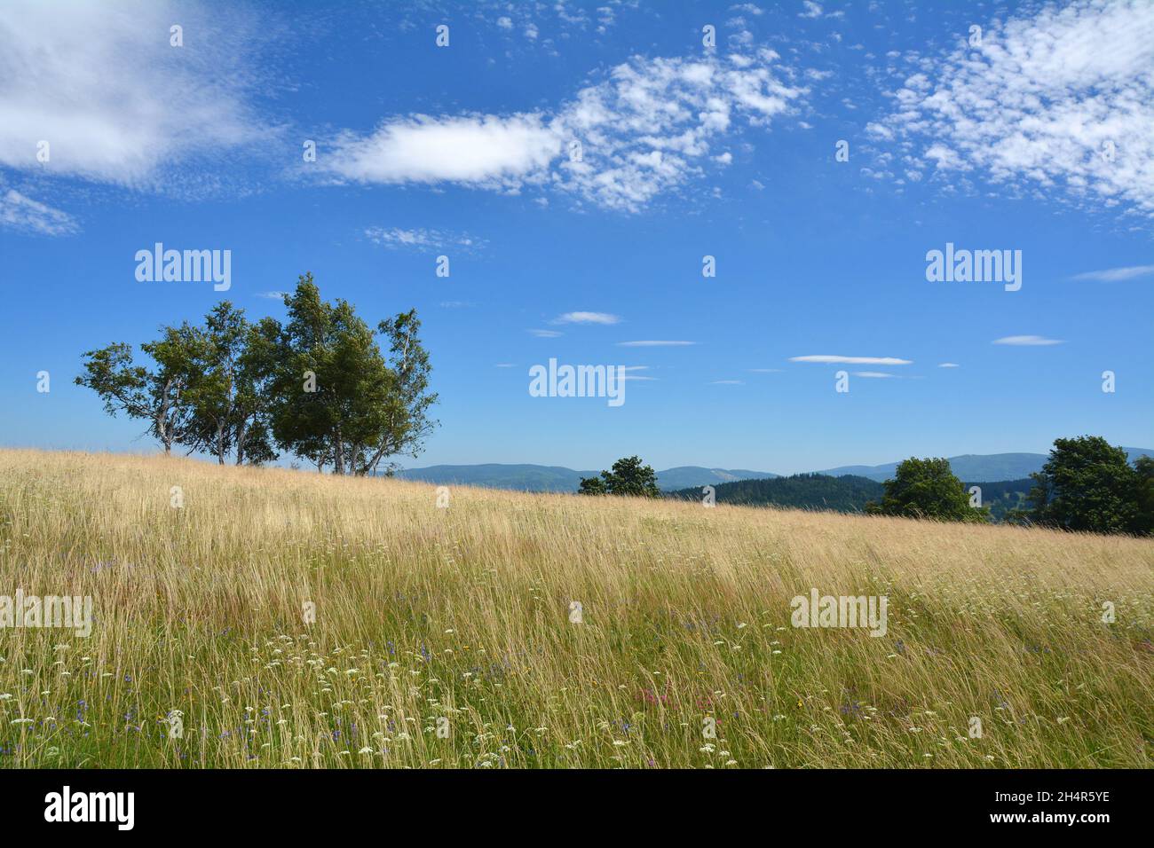 Schöne Landschaft in Polen, Sudetengebirge. Stockfoto