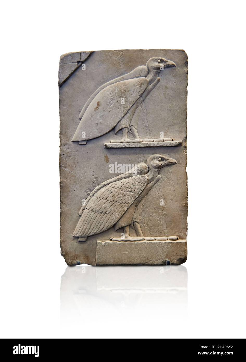 Ptolemäische ägyptische Reliefskulptur Tafel mit 2 Geiern, 399-200 v. Chr., Ptolemäisch, Kalkstein. Louvre Museum, Diese Tafel war eine unfinis=hed Skulptur Stockfoto