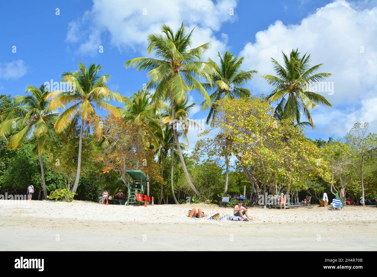 Saint Thomas, amerikanische Jungferninseln - 23. März 2017 : Touristen am Strand von Magens Bay im nördlichen Teil der Insel Saint Thomas in der Karibik Stockfoto