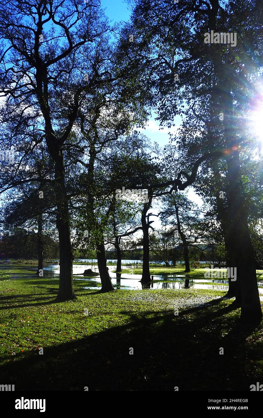 Überschwemmung am Carlingwark Loch, Castle-Douglas, (Caistal Dhùghlais in Gälisch) Dumfries & Galloway, Schottland dringt in den Park am Lochside ein - November 2021. Die Stadt wurde 1792 von William Douglas mit Geld gegründet, das in „The American Trades“ (Sklaverei?) . Die Stadt war einst für handgewebte Baumwolle bekannt. Viele historische Artefakte wurden aus dem loch geborgen Stockfoto