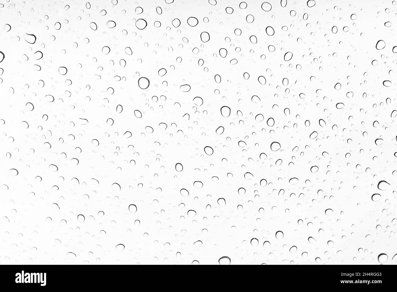 Regentropfen auf Glas, Wassertropfen gewelltem weißem Hintergrund Stockfoto