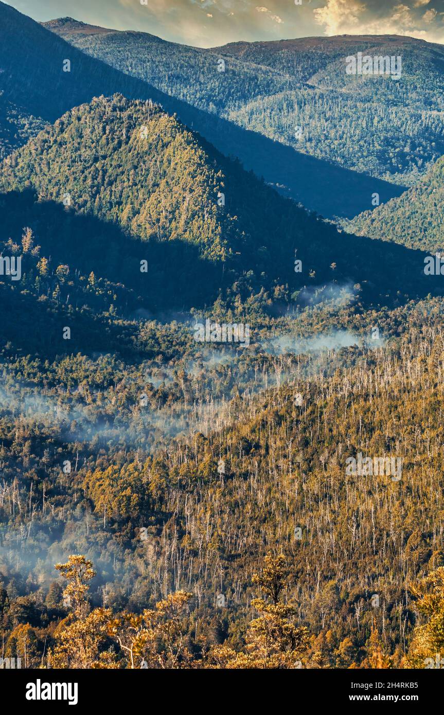 Tasmanische Wildnis, abseits der Gordon River Road, Tasmanien, Australien Stockfoto