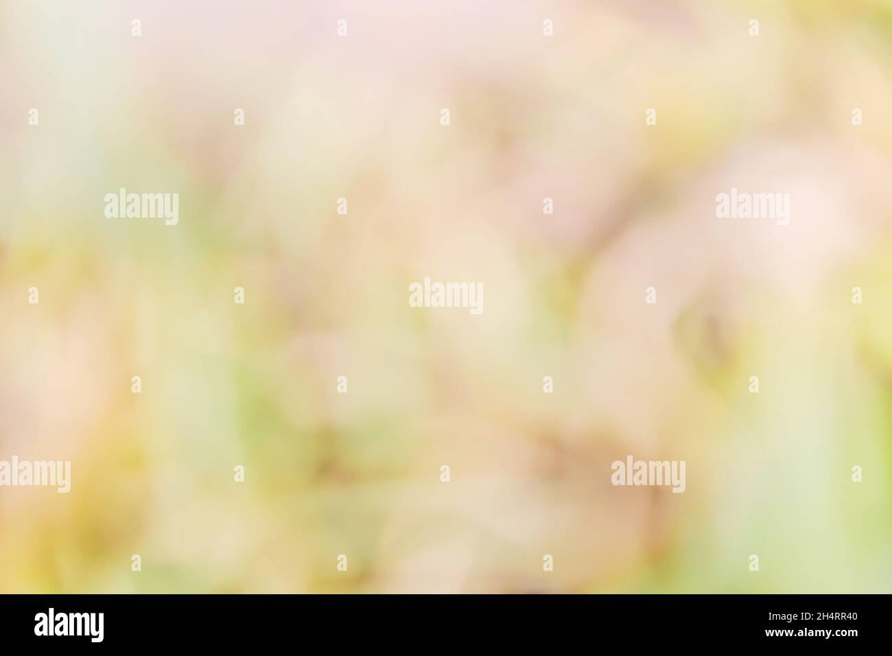 Weich melierter Hintergrund in Herbsttönen von Grün, Gelb und Braun. Perfekter Hintergrund für Text oder als Bild-Overlay. Stockfoto