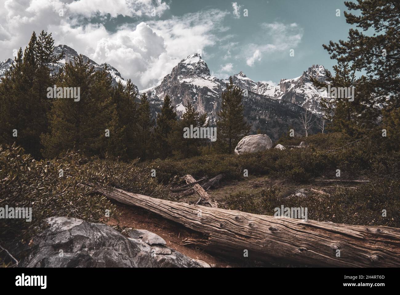 Grand Tetons National Park - Wyoming Stockfoto