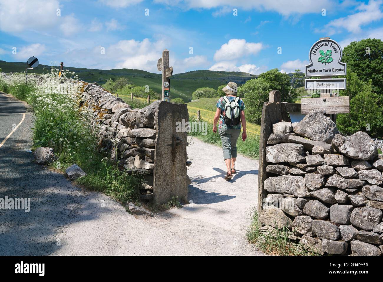 Frau beim Wandern, im Sommer eine Frau, die allein auf dem Pennine Way in Malhamdale wandert, Landschaft von herausragender natürlicher Schönheit in North Yorkshire UK Stockfoto