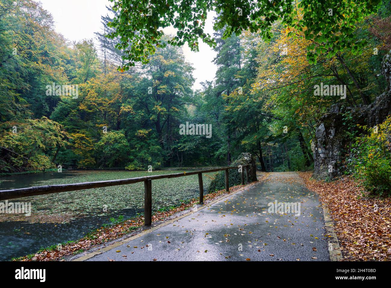 Szalajka Tal Szilvasvarad Ungarn an einem regnerischen Herbsttag mit Touristenpfad . Stockfoto