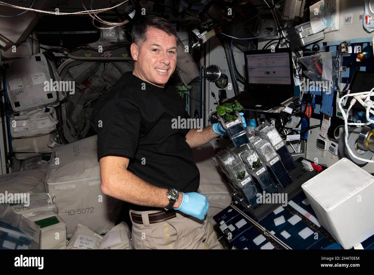 NASA-Astronaut und Expedition 65 Flugingenieur Shane Kimbrough überprüft Baumwollpflanzen, die für die TICTOC-Weltraumbotaniestudie wachsen. Die Untersuchung befasst sich mit der Genexpression und dem Wurzelwachstum in der Schwerelosigkeit, die am 11. Juni 2021 sowohl die Weltraumlandwirtschaft als auch den Baumwollanbau auf der Erde verbessern könnten. Quelle: NASA über CNP Stockfoto