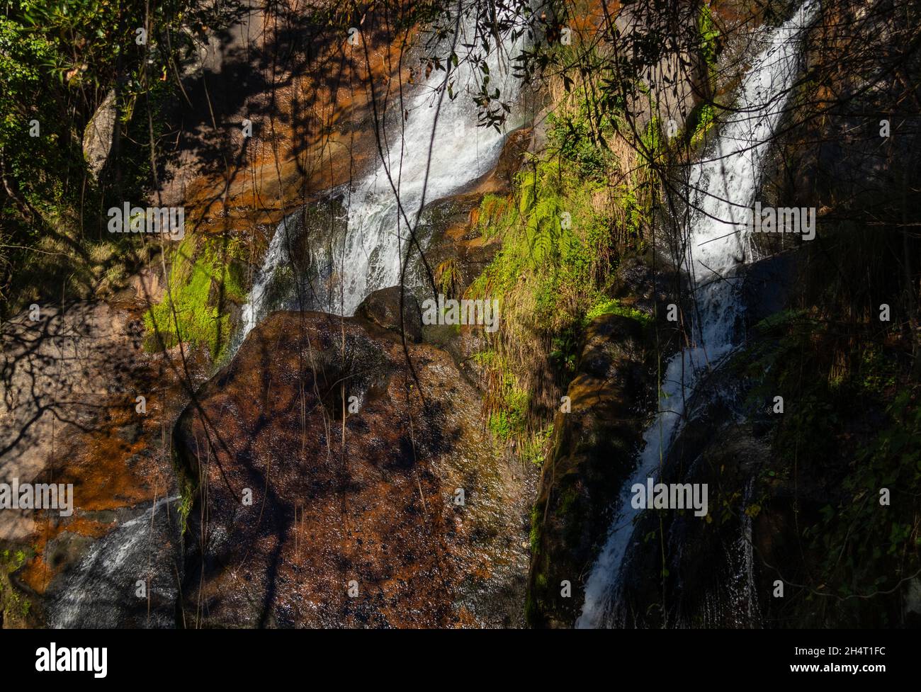 Wwasserfall in freier Wildbahn Stockfoto