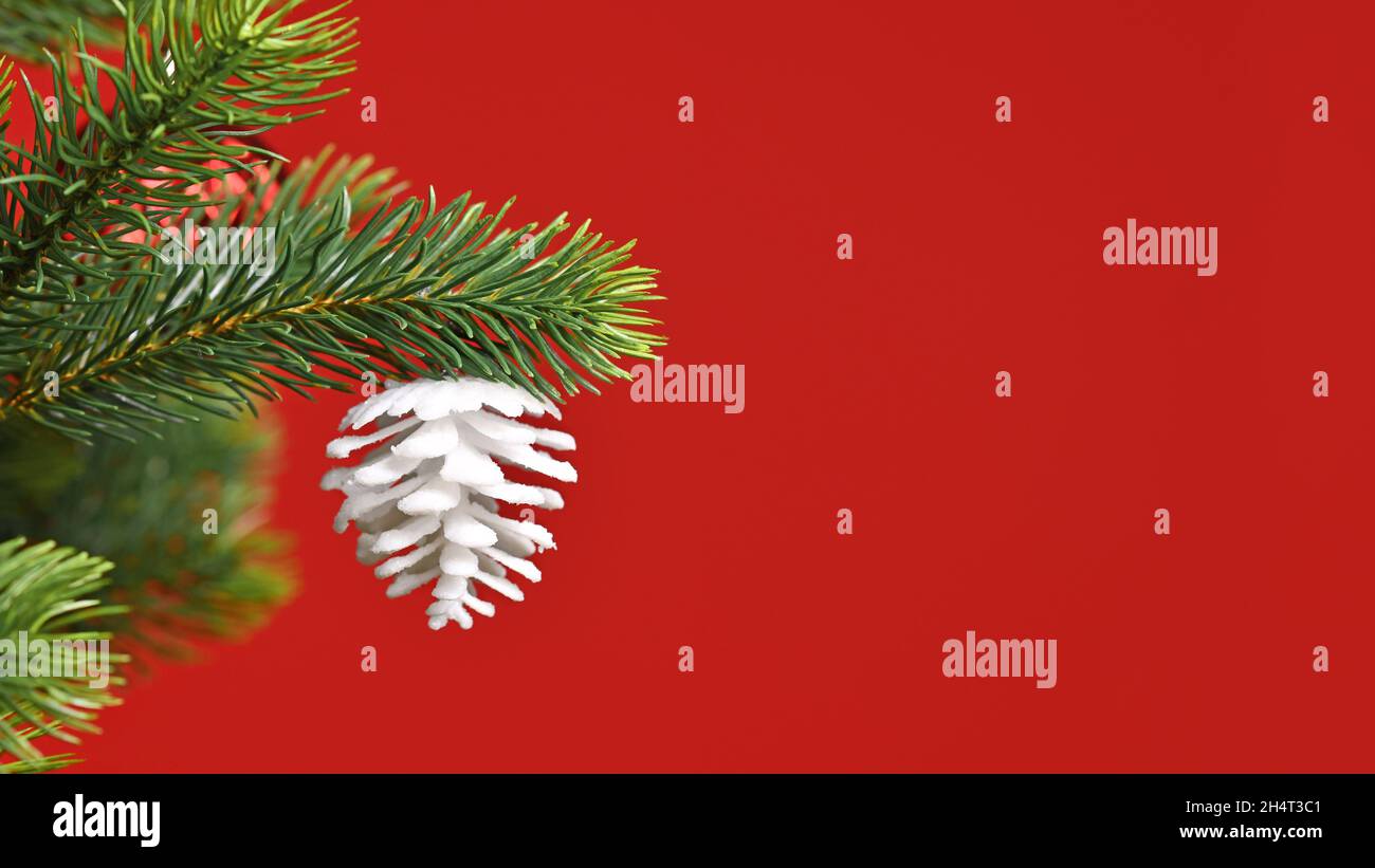 Weihnachtsbanner mit weißem Tannenzapfen-Ornament auf Baum vor rotem Hintergrund mit Kopierraum Stockfoto