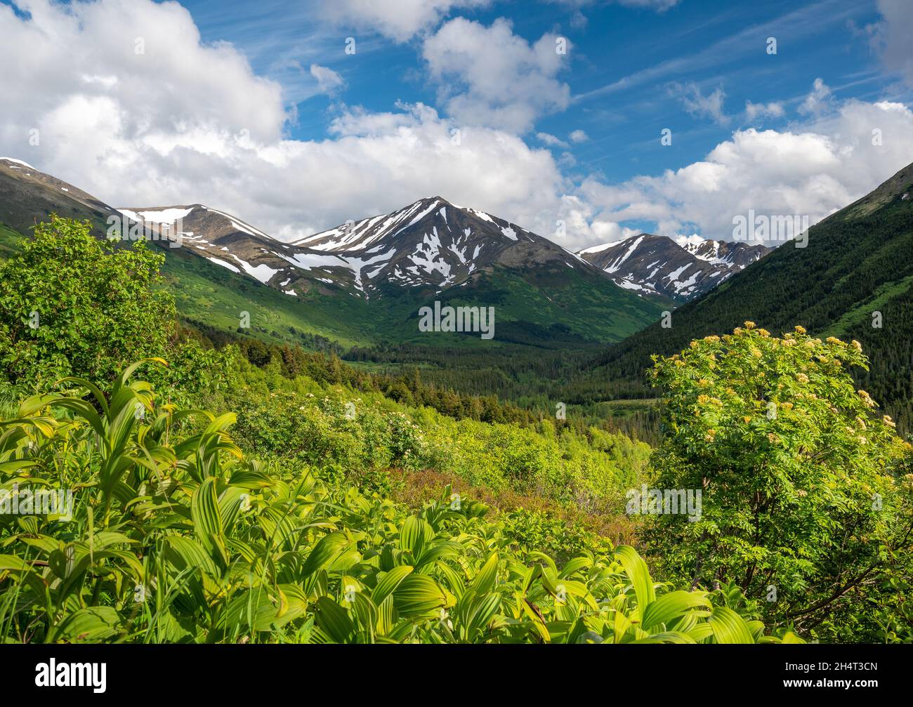 Blick auf die Berge Stockfoto