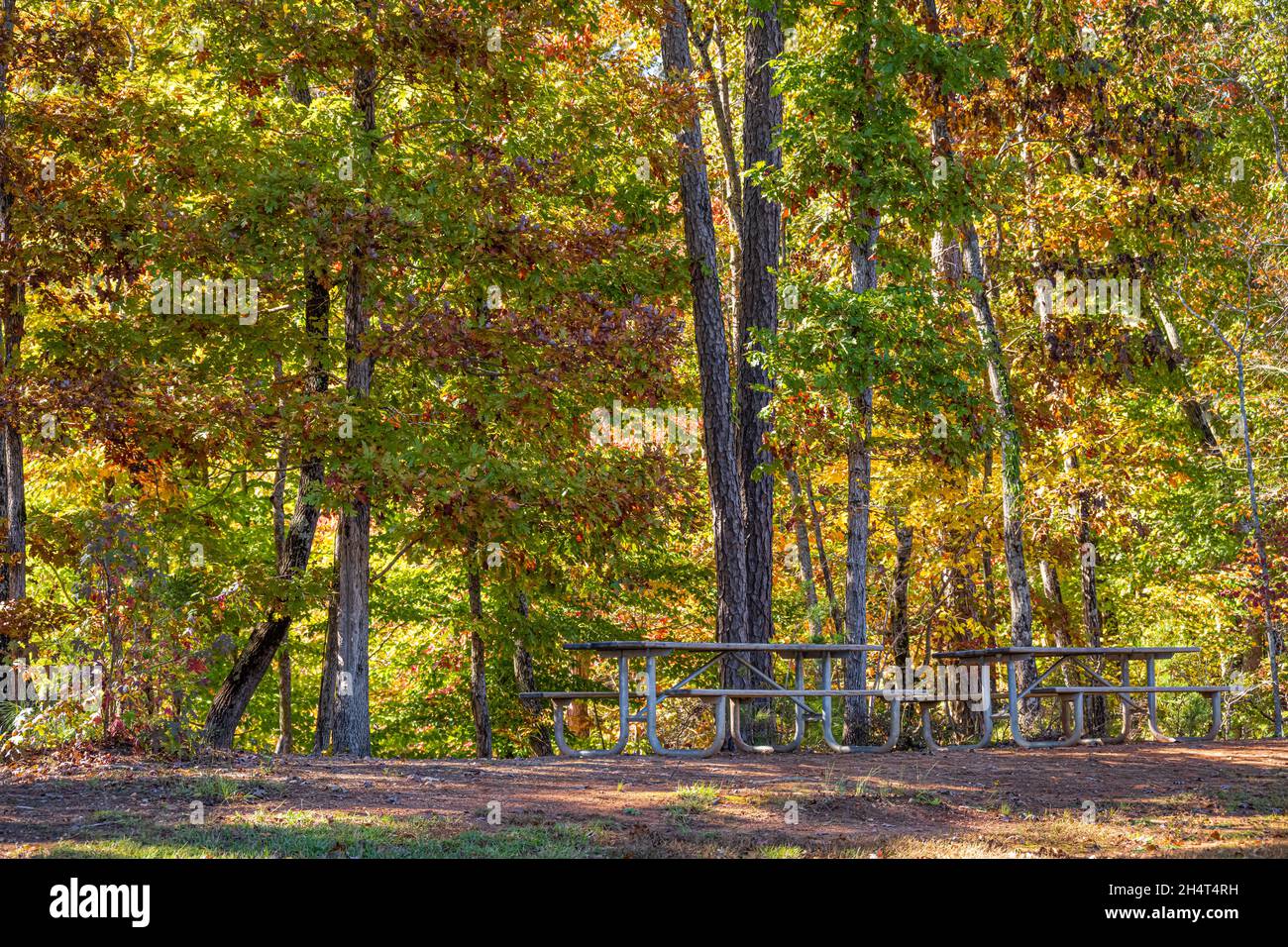 Picknickbereich mit farbenfrohem Herbstlaub im Don Carter State Park am Lake Lanier in Gainesville, Georgia. (USA) Stockfoto