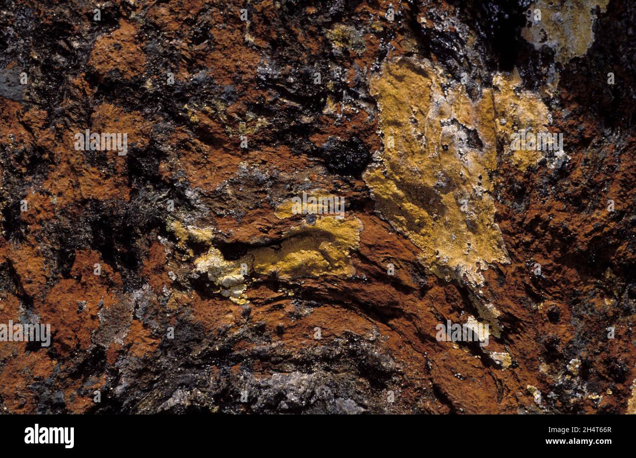 Nahaufnahme des farbenfrohen Peridotits. Analog. Ein dichter, grobkörniger. Es ist das dominante Gestein des oberen Teils des Erdmantels. Stockfoto