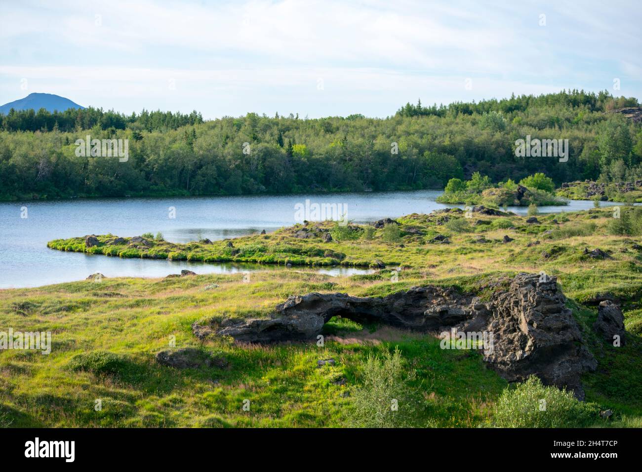 Landschaft mit Bäumen und Wasser am Myvatyn Diamond Circle Stockfoto